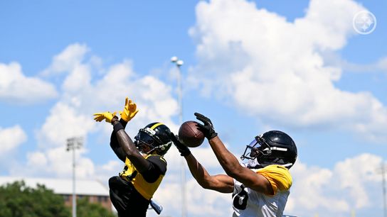 Steelers Release Savvy Veteran Wide Receiver After Disappointing Preseason (Steelers News)