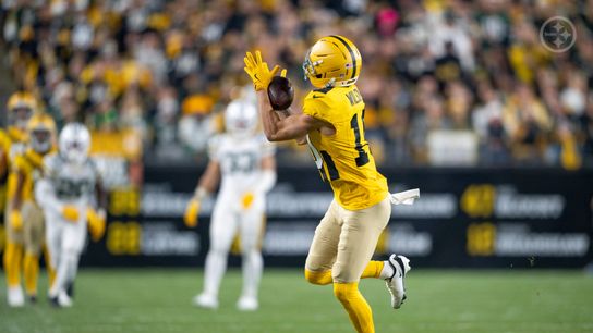 Steelers Roman Wilson