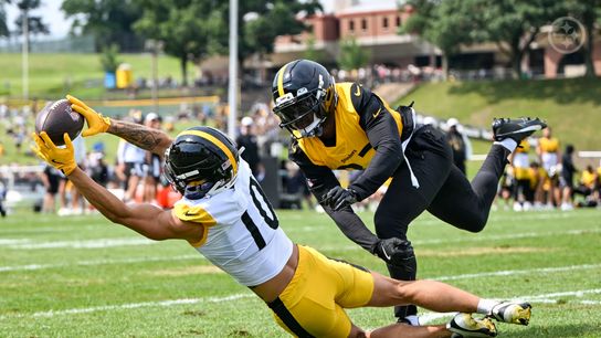 Steelers' Roman Wilson