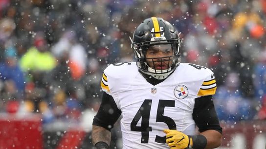 Pittsburgh Steelers Roosevelt Nix