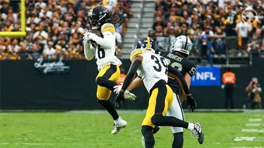 Pittsburgh Steelers Donte Jackson Minkah Fitzpatrick 