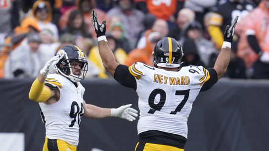 Steelers Cam Heyward TJ Watt