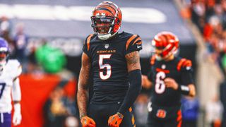 Steelers Named Best Landing Spot For Bengals Star Wide Receiver Tee Higgins (Steelers News). Photo by Fox Sports