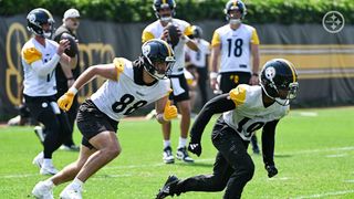 Steelers May Not Target Unhappy Star Wide Receiver To Avoid Another Disaster Similar To 2024 Offseason (Steelers News). Photo by Taylor Ollason / Pittsburgh Steelers