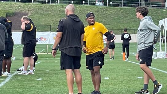 Steelers Steve Smith Sr. 