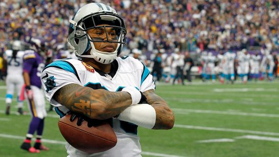 Steelers Steve Smith