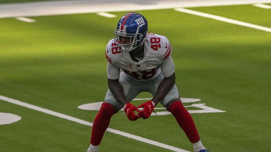 Steelers Linebacker Tae Crowder Could Potentially Make The 53-Man Roster In August Steelers Tae Crowder