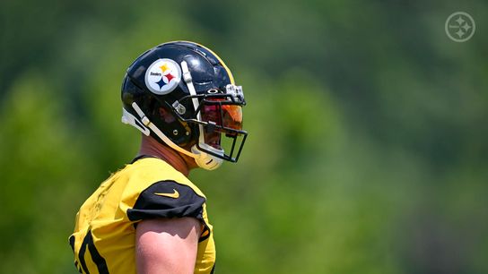 Former Steelers Long Snapper Explains The Secrets To TJ Watt's Current Dominance: "He Turns Into A Full Grown Male Lion" (Steelers News)