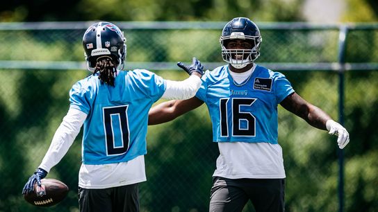 New Steelers WR Trade Targets Emerge Amid Revealed Acquisition Criteria. Photo by Tennessee Titans