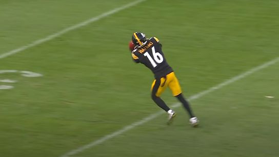 Steelers’ Mike Tomlin Furious Over Special Teams’ “JV” Performance In Preseason Showdown With Texans (Steelers News)