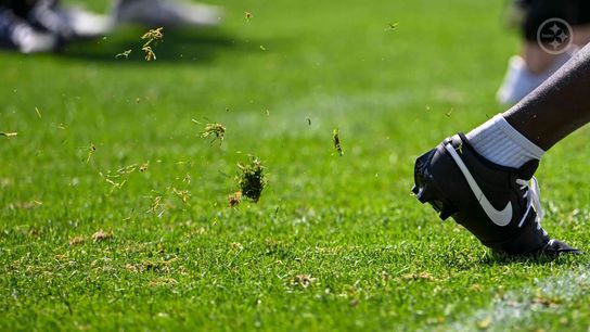 Several Surprising Names Headline Steelers List Of Winners From Mini Camp (Steelers News)